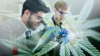 Embark Health licence approvals bode well for MMJ Group