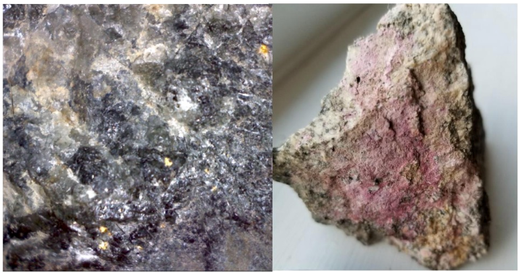 Surface rock chip samples from the Erebor discovery with visible gold and oxidised cobalt (erythrite).