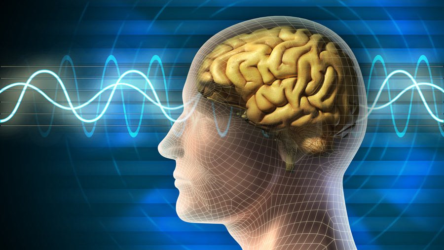 Cellmid MK antibodies effective in brain cancer trials