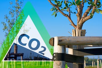 Is a 20 per cent reduction in CO2 emissions in oil refinement possible?