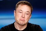 Elon musk meme.jpg