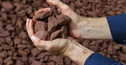 Iron Ore