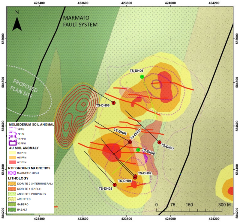 Tesorito is an at surface gold mineralised porphyry system