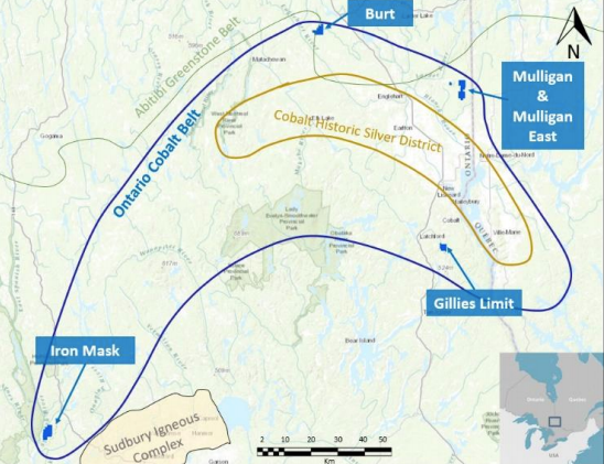 Iron musk cobalt project canada