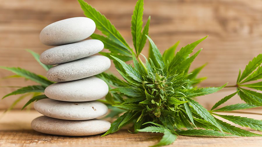 Проект leaf медицина