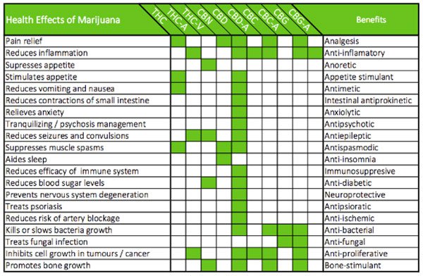 Marijuana health benefits