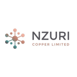 NZC company logo.png