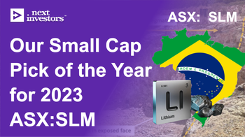 Our 2023 Small Cap Pick of the Year - ASX:SLM