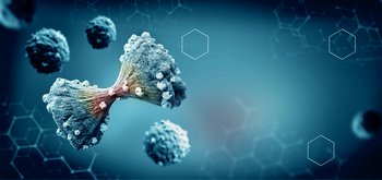 PTX is one step closer to finding a working cancer treatment