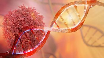 Could a Loxo Oncology Style Trial, Bring Loxo Style Results for PTX?