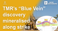 TMR’s “Blue Vein” discovery mineralised along strike - Exceeding what we wanted to see.