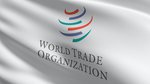 WTO.jpeg