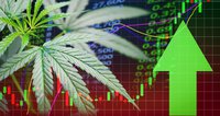 ASX Stock Currently Trading 50% Below Net Asset Value is Primed for Cannabis 2.0