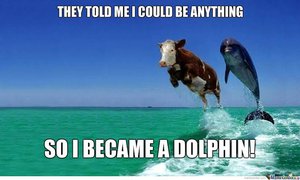 Don't become a dolphin and if you do please don't bid into any of my books or whinge when the stock is under the issue price after you've sold your stock after owning them for a massive 3 hours.   