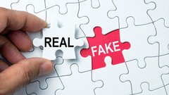 fake real.jpeg