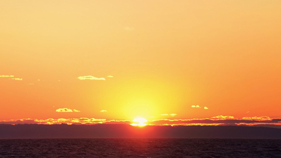 Budget Update On The Horizon MYEFO