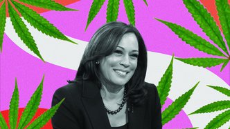What does a Kamala Harris Vice Presidency mean for cannabis legalisation?